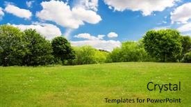  Presentation with sugarcane fields mountains landscape nature - Presentation featuring mighty oak tree - spring nature landscape background and a gold colored foreground