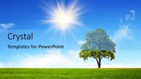  Presentation with summer - PPT theme with mighty oak tree - summer landscape background and a light blue colored foreground