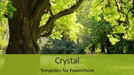  Presentation with oak - PPT layouts enhanced with the beginning of wwii background and a sky blue colored foreground