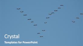  Presentation with geese flying - Cool new slide deck with migrating birds - flock of geese flying backdrop and a teal colored foreground