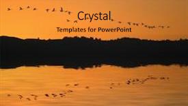  Presentation with birds - Amazing presentation having migrating birds backdrop and a gold colored foreground