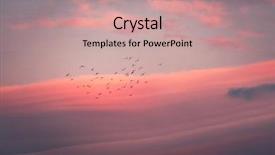  Presentation with migration - Audience pleasing PPT layouts consisting of migration - beautiful pink sunset silhouette backdrop and a coral colored foreground
