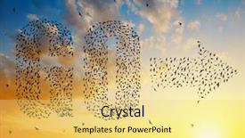  Presentation with birds flying - Beautiful PPT theme featuring migration - silhouette of birds flying backdrop and a yellow colored foreground