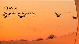  Presentation with moving - PPT layouts with migration - spring migrating sandhill cranes moving background and a yellow colored foreground