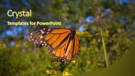  Presentation with southwestern - Beautiful PPT theme featuring migration canada - detail of monarch butterfly danaus backdrop and a tawny brown colored foreground
