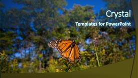  Presentation with southwestern - Colorful theme enhanced with migration canada - detail of monarch butterfly danaus backdrop and a ocean colored foreground