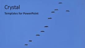  Presentation with geese - Beautiful presentation design featuring migration canada - geese in turn blue sky backdrop and a  colored foreground