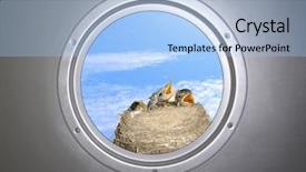  Presentation with migration - Theme with migration nest on the airplane background and a light blue colored foreground