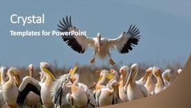  Presentation with natural - Slide deck having clouds at sunset landscape heaven background and a gray colored foreground