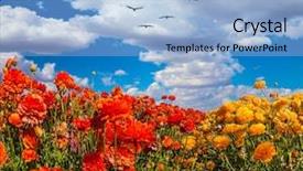  Presentation with birds flying - Cool new slide deck with migratory birds flying high backdrop and a light blue colored foreground