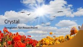  Presentation with strong wind - Colorful presentation theme enhanced with  backdrop and a  colored foreground