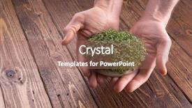  Presentation with microgreen - Beautiful presentation theme featuring mikrobiologi - fresh microgreen sprouts in male backdrop and a coral colored foreground