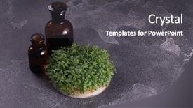 Presentation with vials - PPT layouts enhanced with mikrobiologi - microgreens in round container background and a dark gray colored foreground
