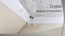  Presentation with mold - Slides having mikroorganisme - mold and moisture buildup background and a light gray colored foreground