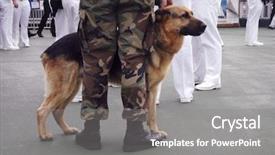  Presentation with fleet - Slides enhanced with army boots - military dog during fleet week background and a gray colored foreground