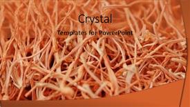  Presentation with stack - Amazing PPT layouts having food military - stack of cordyceps backdrop and a red colored foreground