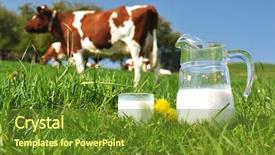  Presentation with amul milk - Colorful slide set enhanced with milk against herd of cow backdrop and a tawny brown colored foreground