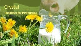  Presentation with region - Slide set with milk and cows emmental region background and a tawny brown colored foreground