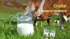  Presentation with cow milk - PPT theme featuring milk and cows emmental region background and a tawny brown colored foreground