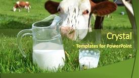  Presentation with region - Amazing slide set having milk and cows emmental region backdrop and a  colored foreground