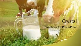  Presentation with cow milk - Audience pleasing theme consisting of milk and cows emmental region backdrop and a yellow colored foreground