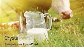 Presentation with cow milk - Presentation theme consisting of milk and cows emmental region background and a  colored foreground