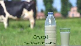  Presentation with cow milk - Audience pleasing PPT theme consisting of milk bottle and glass backdrop and a seafoam green colored foreground