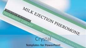  Presentation with milk - PPT theme consisting of milk-ejection-pheromone-this-pheromone background and a light blue colored foreground