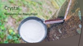  Presentation with rubber tree - Colorful slide set enhanced with milk of rubber tree flows backdrop and a mint green colored foreground