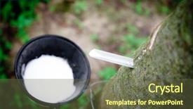  Presentation with rubber tree - Slide set having milk of rubber tree flows background and a tawny brown colored foreground