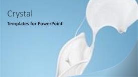  Presentation with milk splash - Slide set with milk or white liquid splash on blue background isolated background and a light blue colored foreground