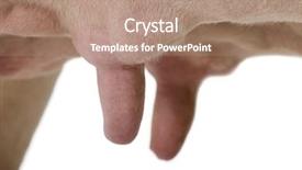  Presentation with cow milk - Slide deck featuring milk theme - close-up of holstein cow udders background and a coral colored foreground