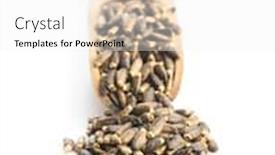  Presentation with thistle - Theme with milk-thistle-seeds-in-scoop background and a white colored foreground