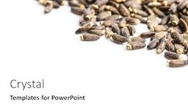  Presentation with milk thistle - Theme having milk-thistle-seeds-isolated background and a white colored foreground