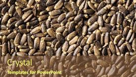  Presentation with thistle - Theme with milk-thistle-seeds-pattern background and a tawny brown colored foreground