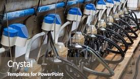  Presentation with dairy farm - Presentation enhanced with milking cows on dairy farm background and a gray colored foreground