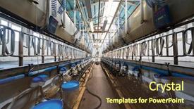  Presentation with farm equipment - Presentation design enhanced with milking machines on dairy farm background and a tawny brown colored foreground