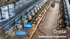  Presentation with machines - Amazing presentation theme having milking machines on dairy farm backdrop and a violet colored foreground