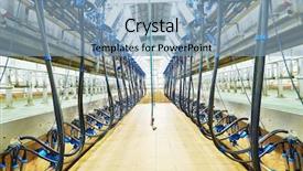  Presentation with dairy cow - Colorful presentation design enhanced with milking system industry cow farm backdrop and a light blue colored foreground