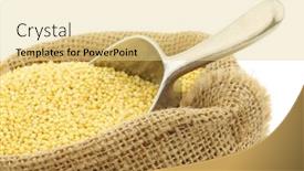  Presentation with millet - Colorful PPT theme enhanced with millet-in-a-burlap-bag backdrop and a blonde colored foreground