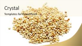  Presentation with millet - Slides consisting of millets - heap of millet grain isolated background and a blonde colored foreground