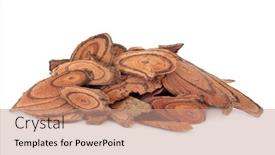  Presentation with chinese medicine - Slide deck featuring millettia vine stem used in chinese herbal medicine over white background ji xue teng background and a coral colored foreground