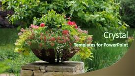  Presentation with container - Presentation design having million bells and sweet pot background and a tawny brown colored foreground