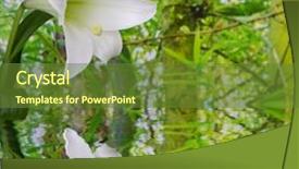  Presentation with water lily - Audience pleasing theme consisting of dictionary page with word anxious backdrop and a light gray colored foreground