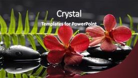  Presentation with orchid - PPT theme having mind body spirit - oriental spa with orchid background and a dark gray colored foreground