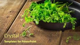  Presentation with miner - PPT theme featuring miner-s-lettuce-winter-purslane background and a tawny brown colored foreground