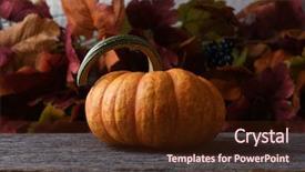  Presentation with fall leaves border autumn - Presentation theme consisting of mini farm - autumn pumpkin still life background and a wine colored foreground