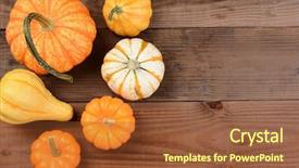  Presentation with autumn wood - Colorful presentation design enhanced with mini pumpkins and gourds backdrop and a red colored foreground
