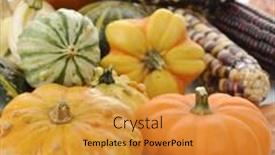  Presentation with corn - Beautiful presentation theme featuring mini-pumpkins-and-indian-corn backdrop and a gold colored foreground