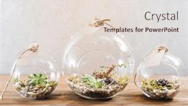  Presentation with succulent - Audience pleasing presentation theme consisting of mini-succulent-garden-in-glass backdrop and a lemonade colored foreground